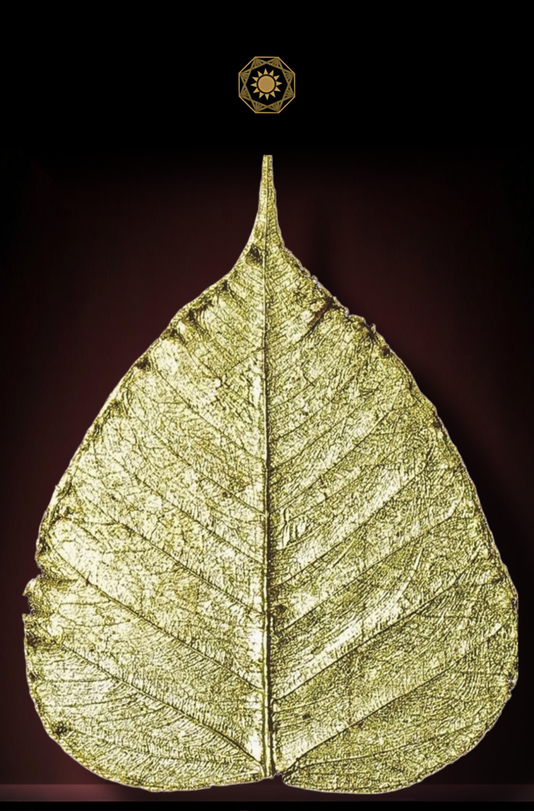 picsart 26 02 07 21 32 40 769